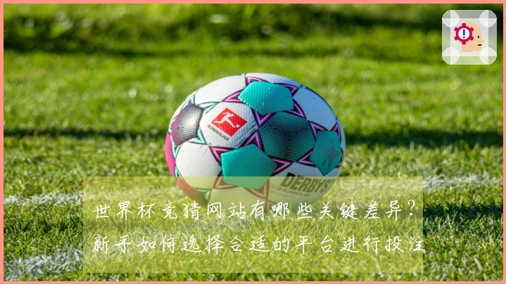 世界杯竞猜网站有哪些关键差异？新手如何选择合适的平台进行投注