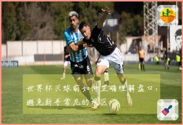 世界杯买球前如何正确理解盘口，避免新手常见的误区