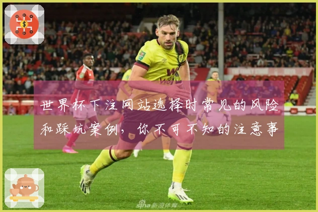 世界杯下注网站选择时常见的风险和踩坑案例，你不可不知的注意事项