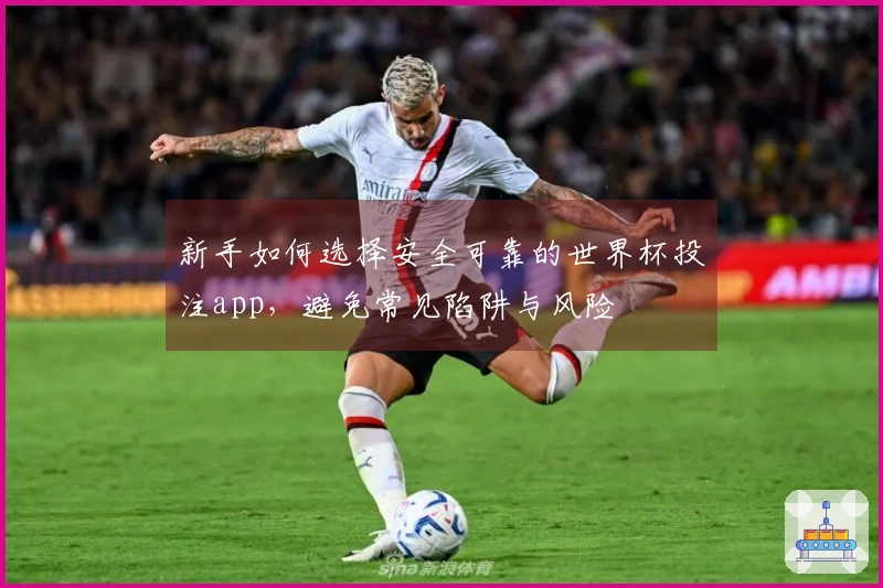 新手如何选择安全可靠的世界杯投注app，避免常见陷阱与风险