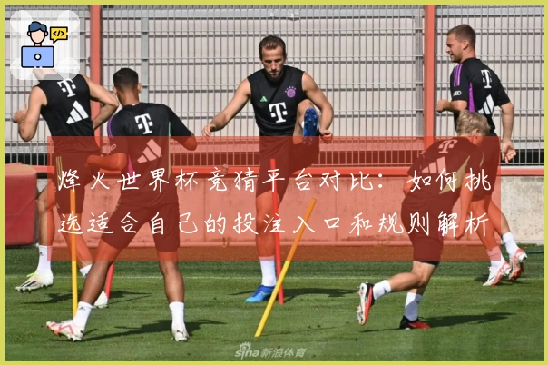 烽火世界杯竞猜平台对比：如何挑选适合自己的投注入口和规则解析