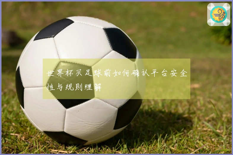 世界杯买足球前如何确认平台安全性与规则理解