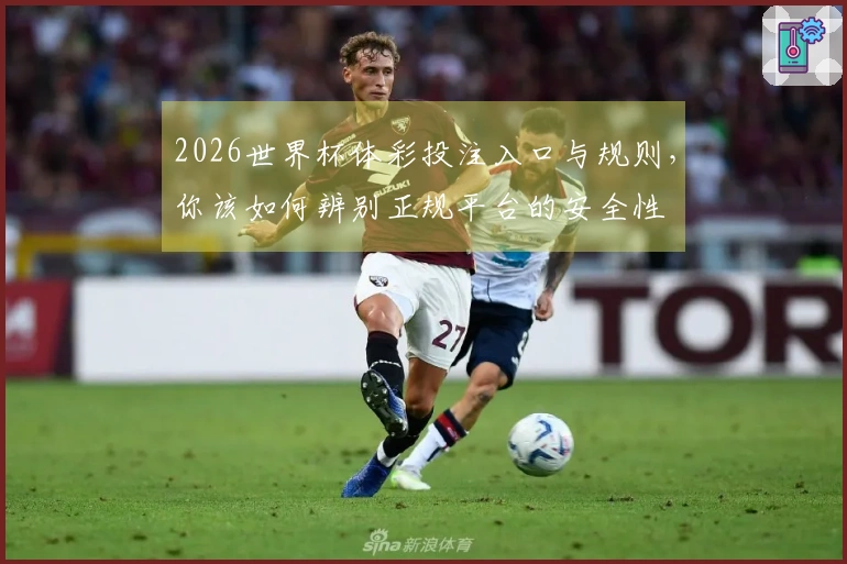 2026世界杯体彩投注入口与规则，你该如何辨别正规平台的安全性