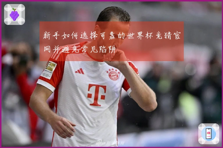 新手如何选择可靠的世界杯竞猜官网并避免常见陷阱