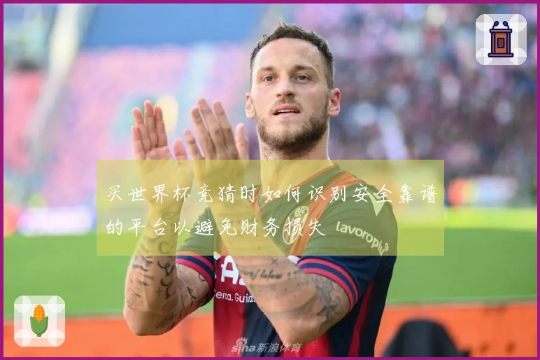 买世界杯竞猜时如何识别安全靠谱的平台以避免财务损失