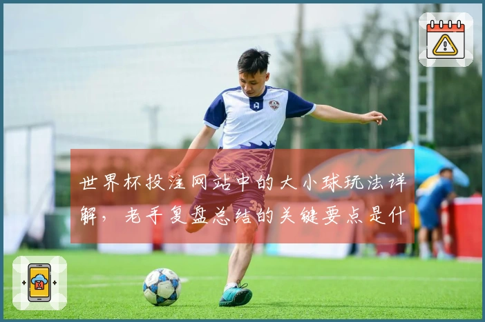 世界杯投注网站中的大小球玩法详解，老手复盘总结的关键要点是什么？