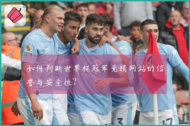 如何判断世界杯冠军竞猜网站的信誉与安全性?