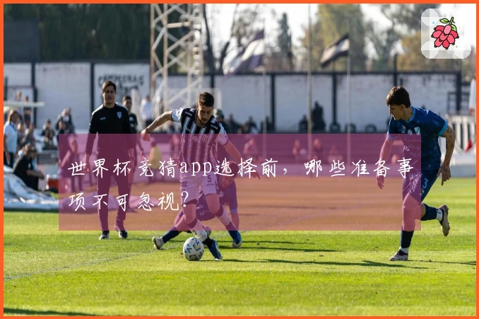 世界杯竞猜app选择前,哪些准备事项不可忽视?