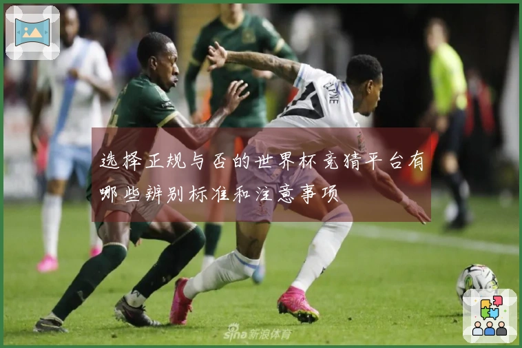 选择正规与否的世界杯竞猜平台有哪些辨别标准和注意事项