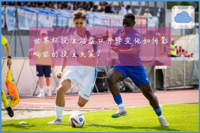 世界杯投注站盘口升降变化如何影响你的投注决策？