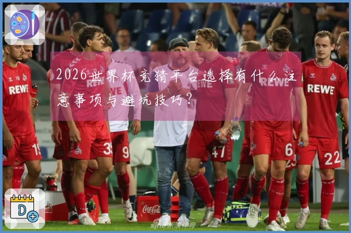 2026世界杯竞猜平台选择有什么注意事项与避坑技巧？
