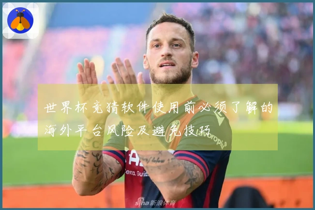 世界杯竞猜软件使用前必须了解的海外平台风险及避免技巧