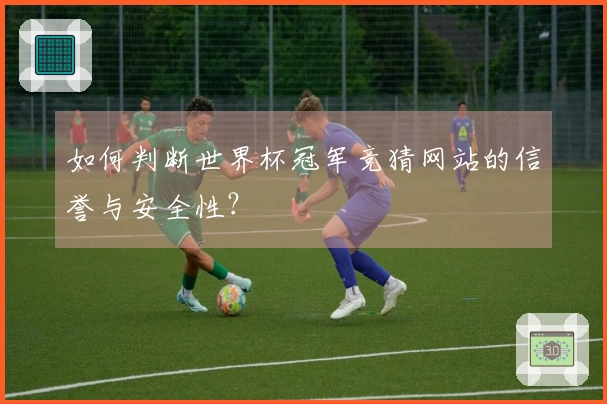 如何判断世界杯冠军竞猜网站的信誉与安全性？