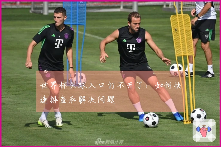 世界杯买球入口打不开了，如何快速排查和解决问题