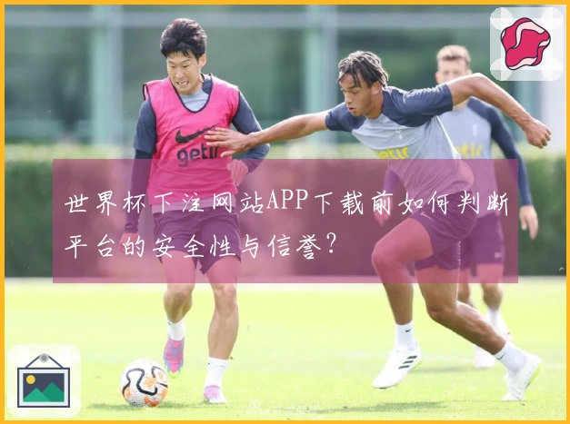 世界杯下注网站APP下载前如何判断平台的安全性与信誉？