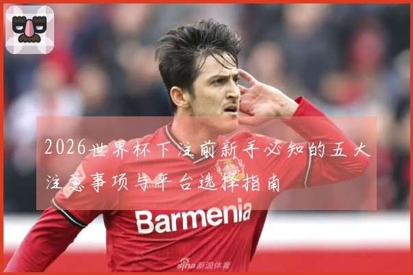 2026世界杯下注前新手必知的五大注意事项与平台选择指南