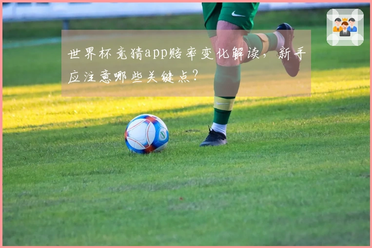 世界杯竞猜app赔率变化解读，新手应注意哪些关键点？