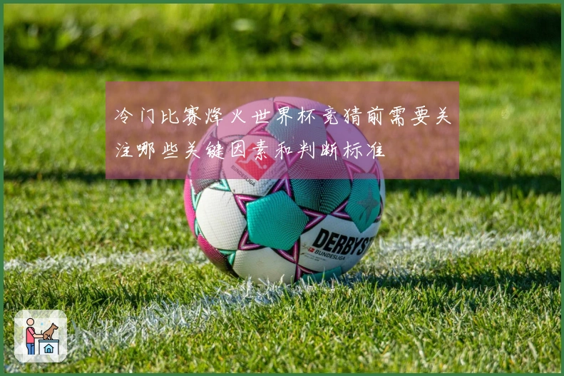 冷门比赛烽火世界杯竞猜前需要关注哪些关键因素和判断标准