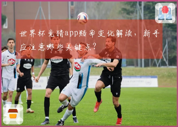 世界杯竞猜app赔率变化解读，新手应注意哪些关键点？