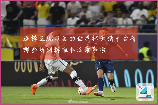 选择正规与否的世界杯竞猜平台有哪些辨别标准和注意事项