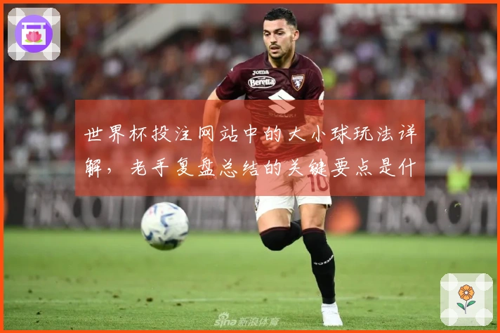 世界杯投注网站中的大小球玩法详解，老手复盘总结的关键要点是什么？