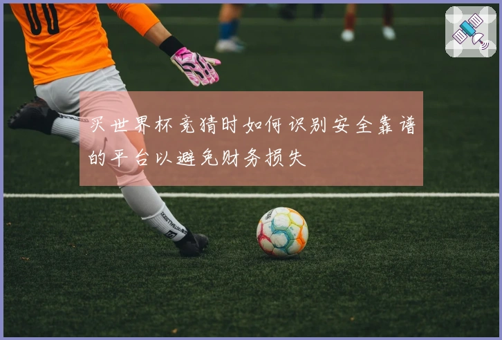 买世界杯竞猜时如何识别安全靠谱的平台以避免财务损失