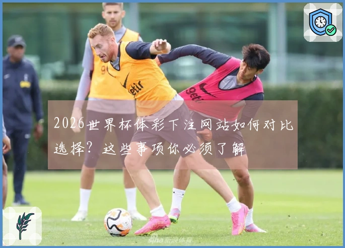 2026世界杯体彩下注网站如何对比选择？这些事项你必须了解