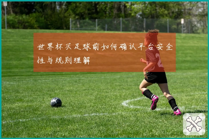世界杯买足球前如何确认平台安全性与规则理解