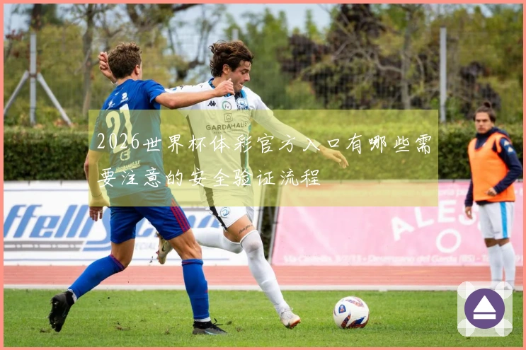2026世界杯体彩官方入口有哪些需要注意的安全验证流程
