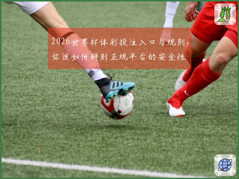 2026世界杯体彩投注入口与规则，你该如何辨别正规平台的安全性