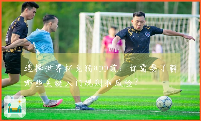 选择世界杯竞猜app前,你需要了解哪些关键入门规则和风险?